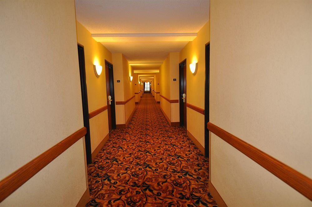 Comfort Inn & Suites New Orleans Airport North Kenner Dalaman gambar